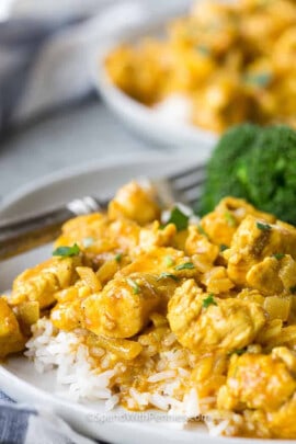 plated Chicken Curry