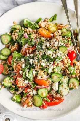 close up of Mediterranean Farro Salad