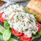 Classic Chicken Salad sandwich on a long roll