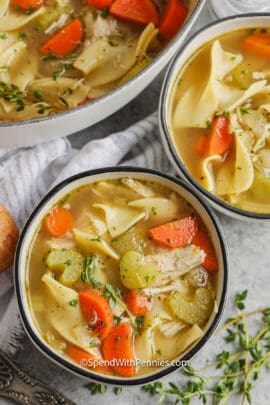 top view of plated Homemade Chicken Noodle Soup