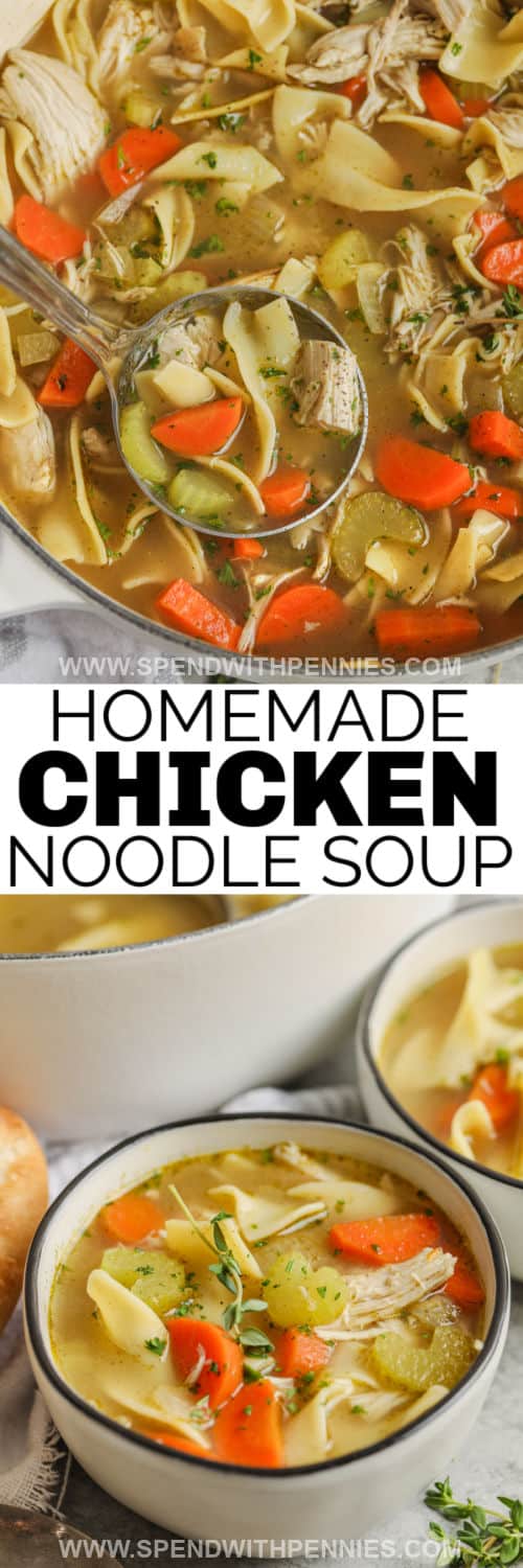 Homemade Chicken Noodle Soup in the pot cooked and plated with writing