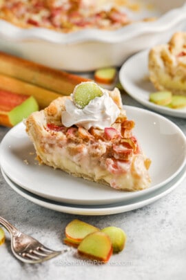 plated slice of Rhubarb Custard Pie