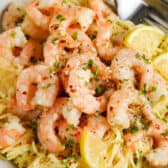 Shrimp Scampi in a bowl with lemon slices and fork