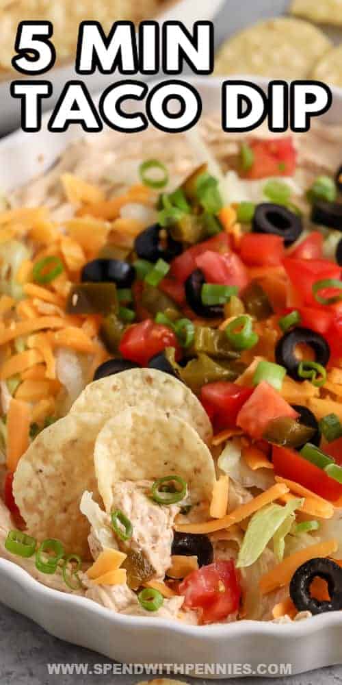 close up of Taco Dip in a bowl with chips and writing