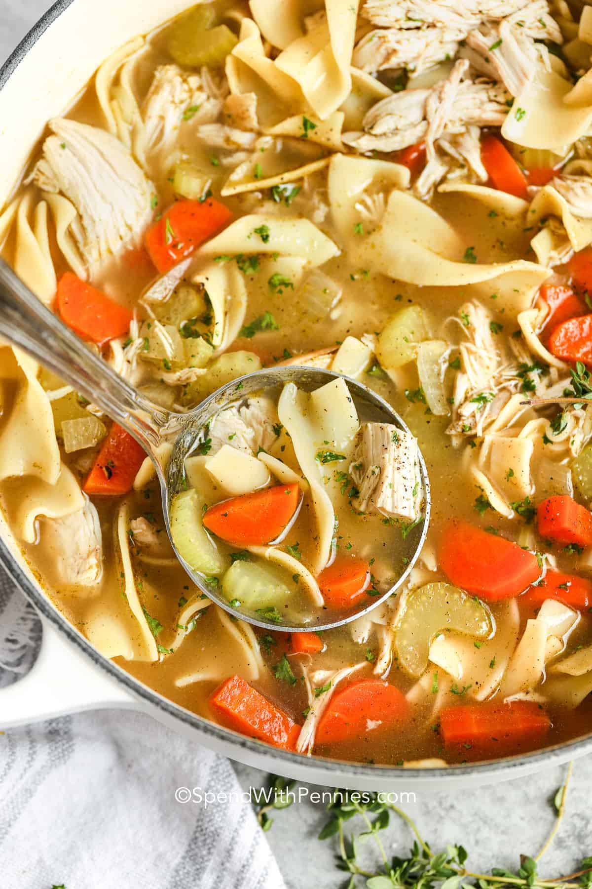 chicken noodle soup with a ladle