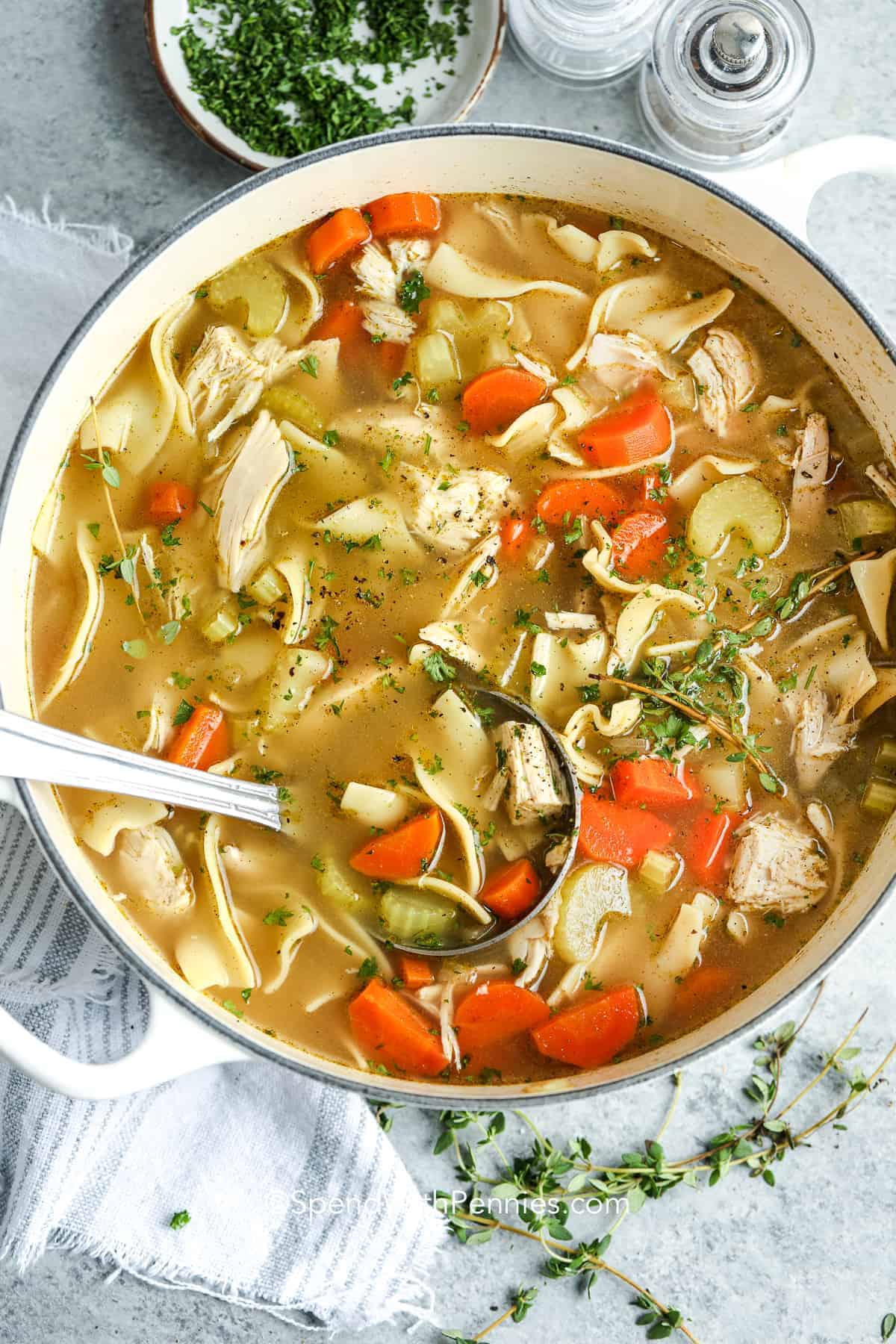 chicken noodle soup in a pot